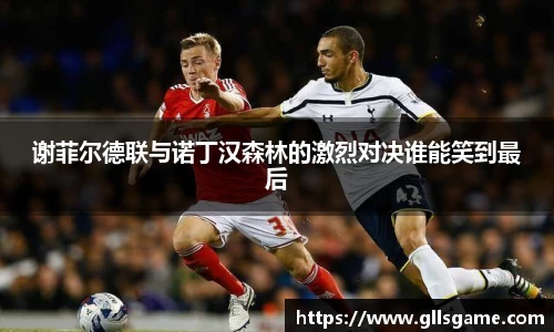 谢菲尔德联与诺丁汉森林的激烈对决谁能笑到最后